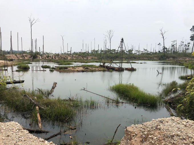 The image shows the gray sky against bare, leafless trees. The body of water in the center also looks grey, with some tree branches floating and sticks sticking out.
